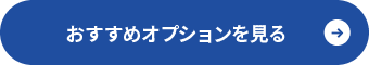 おすすめオプションを見る