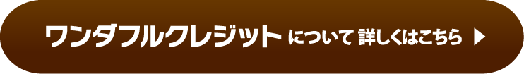 ワンダフルクレジットについて詳しくはこちら